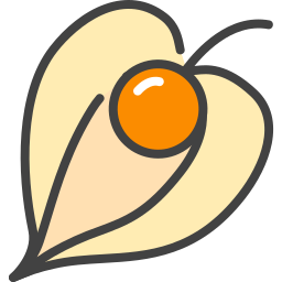 Physalis icon