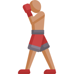 Boxer icon