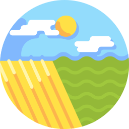 feld icon