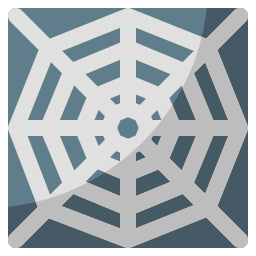 Spider web icon