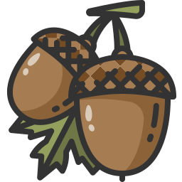 Acorn icon