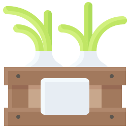 Radish icon