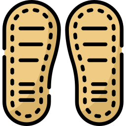 Soles icon