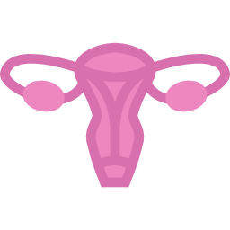 Uterus icon