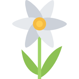 blume icon