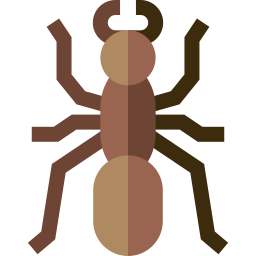 Ant icon