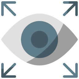 Vision icon