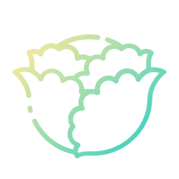 Cabbage icon