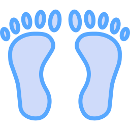 Footprint icon