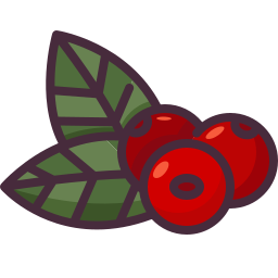 Berries icon