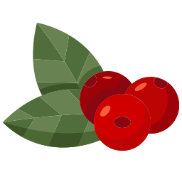 beeren icon