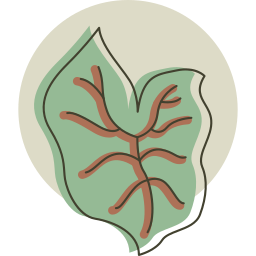 Leaf icon