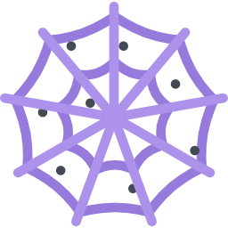 Spider web icon