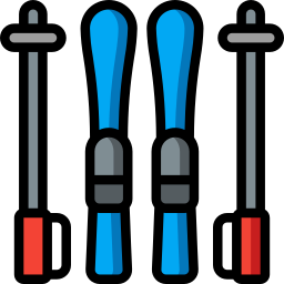 Skis icon