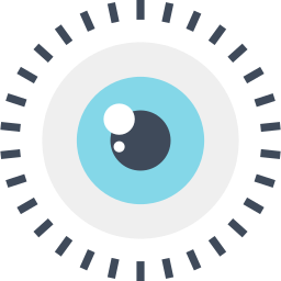 Eye icon