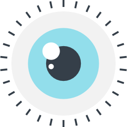 vision icon