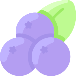 Blueberry icon