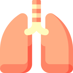 Lungs icon