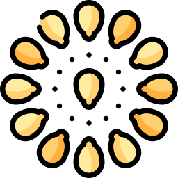 Seed icon