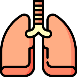 Lungs icon