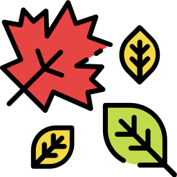 Dry leaves icon