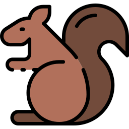 Squirrel icon