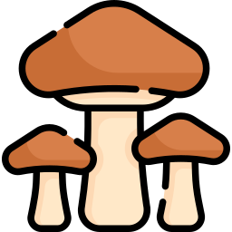 funghi icona