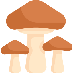 funghi icona