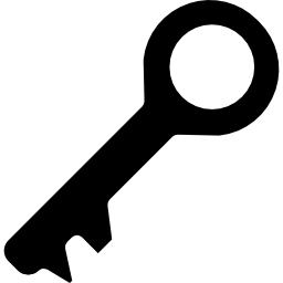 Passkey icon