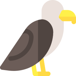 aigle Icône