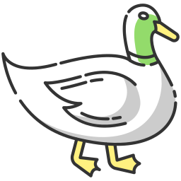 Duck icon