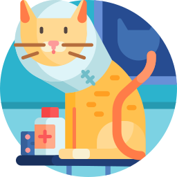 katze icon