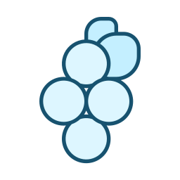 Berries icon