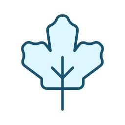 Maple leaf icon