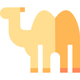 Camel icon