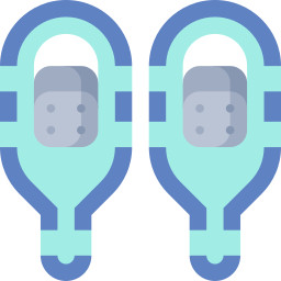 Snowshoes icon