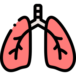 Lungs icon