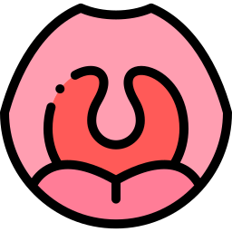 Tonsils icon