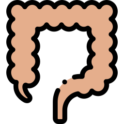 Colon icon