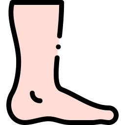 Foot icon