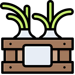 Spring onion icon