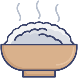 Rice bowl icon