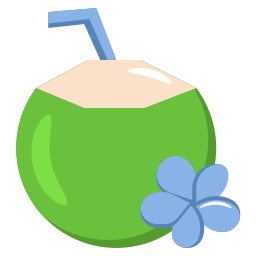 Coconut drink icon