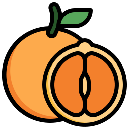 Orange icon