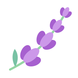 Lavender icon