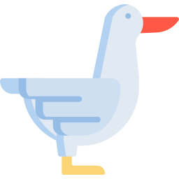 ente icon