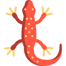 Salamander icon