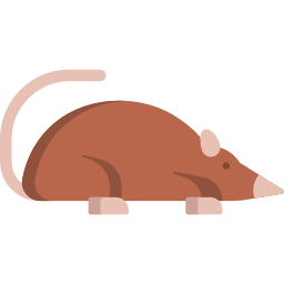 spitzmaus icon