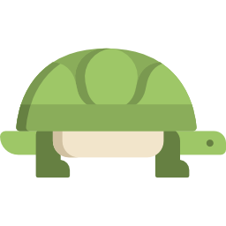 Turtle icon