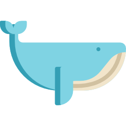 Whale icon